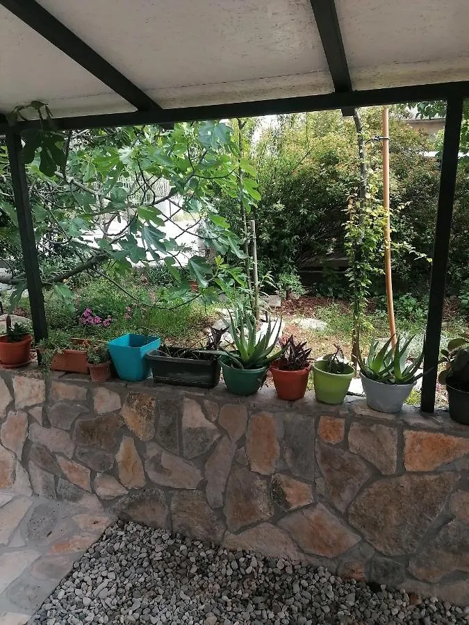 Braun Apartment Zadar